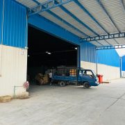 Gallery 8